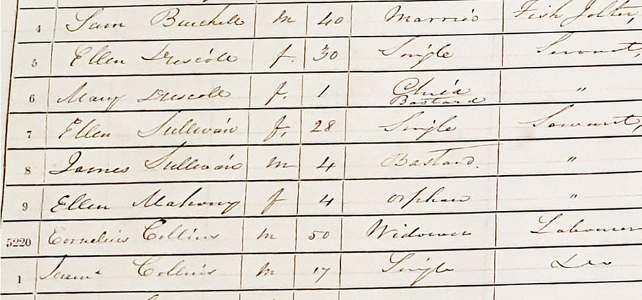 Kinsale Workhouse Register 1847