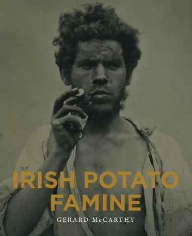 irish famine book